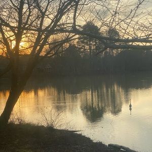 Meet your Posher, Cameron